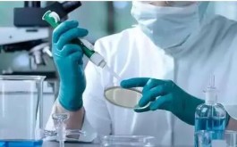 烟台三代试管婴儿技术哪家好(烟台试管婴儿做一次多少钱)