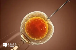 昆明三代试管能包成功吗(费用和流程全在本文中)