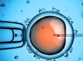 美国试管婴儿需要准备多少钱(美国夫妇做试管婴儿流程及所需时间)