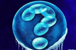 试管婴儿移植前后,注意下这些饮食细节